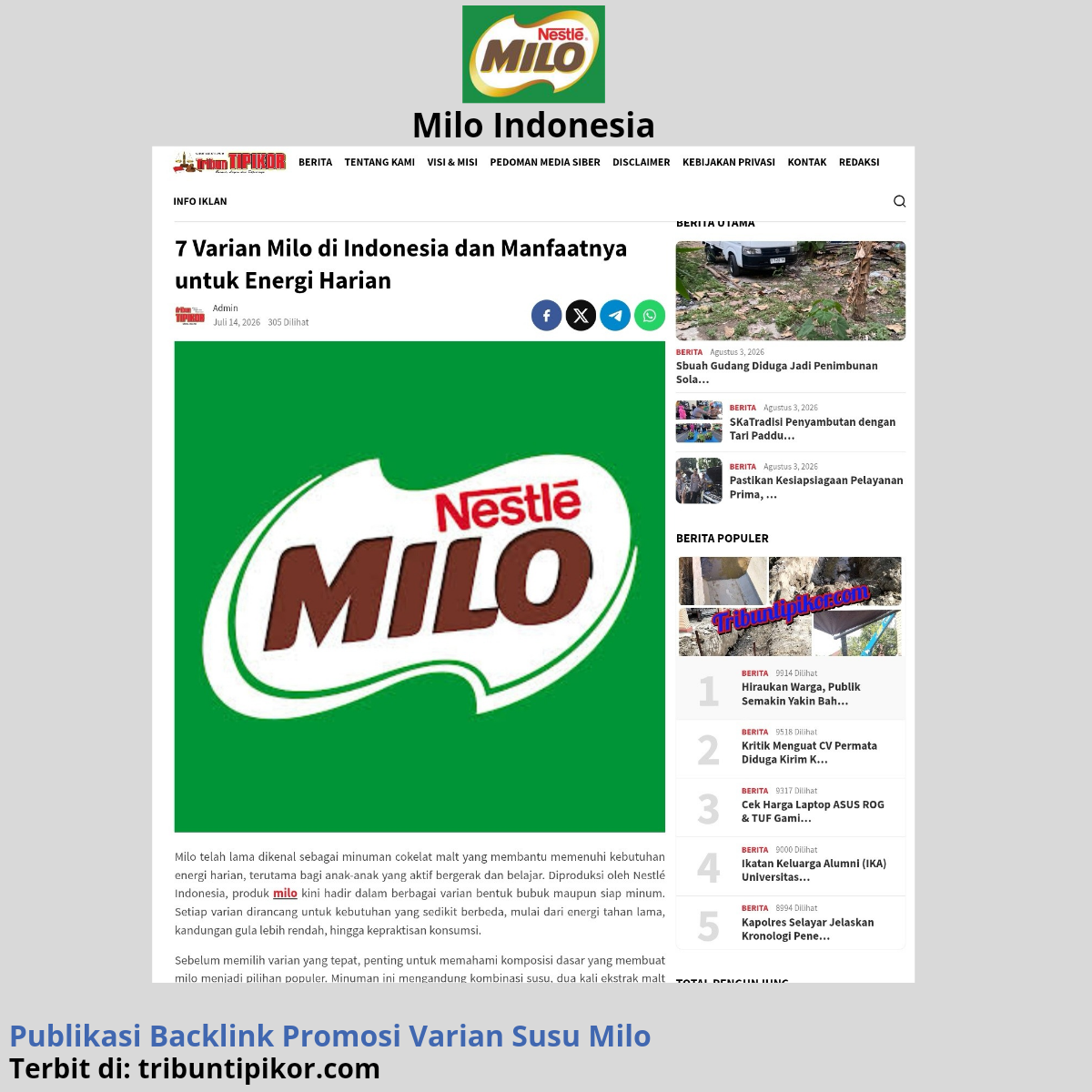 Bukti publikasi dan backlink brand klien 11